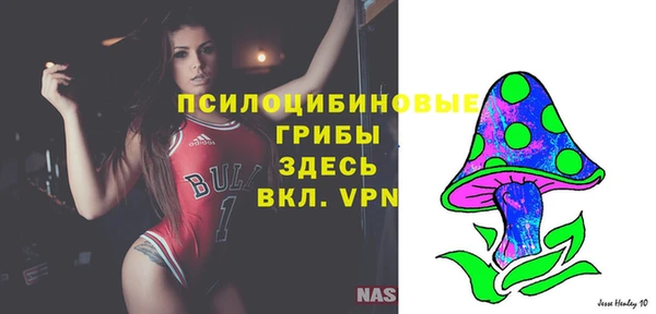 спайс Инта