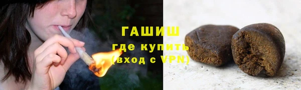 шишки Инсар