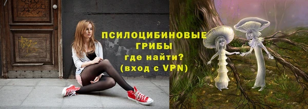дмт Абаза