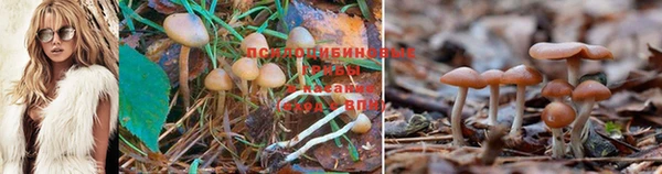 гашиш Кукмор