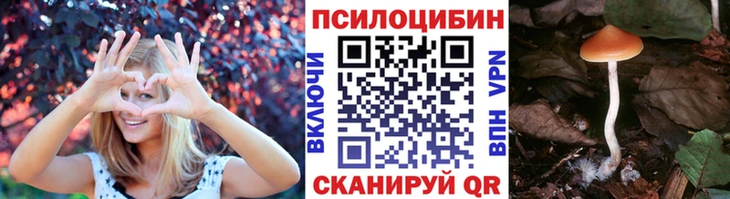 Галлюциногенные грибы GOLDEN TEACHER Краснозаводск